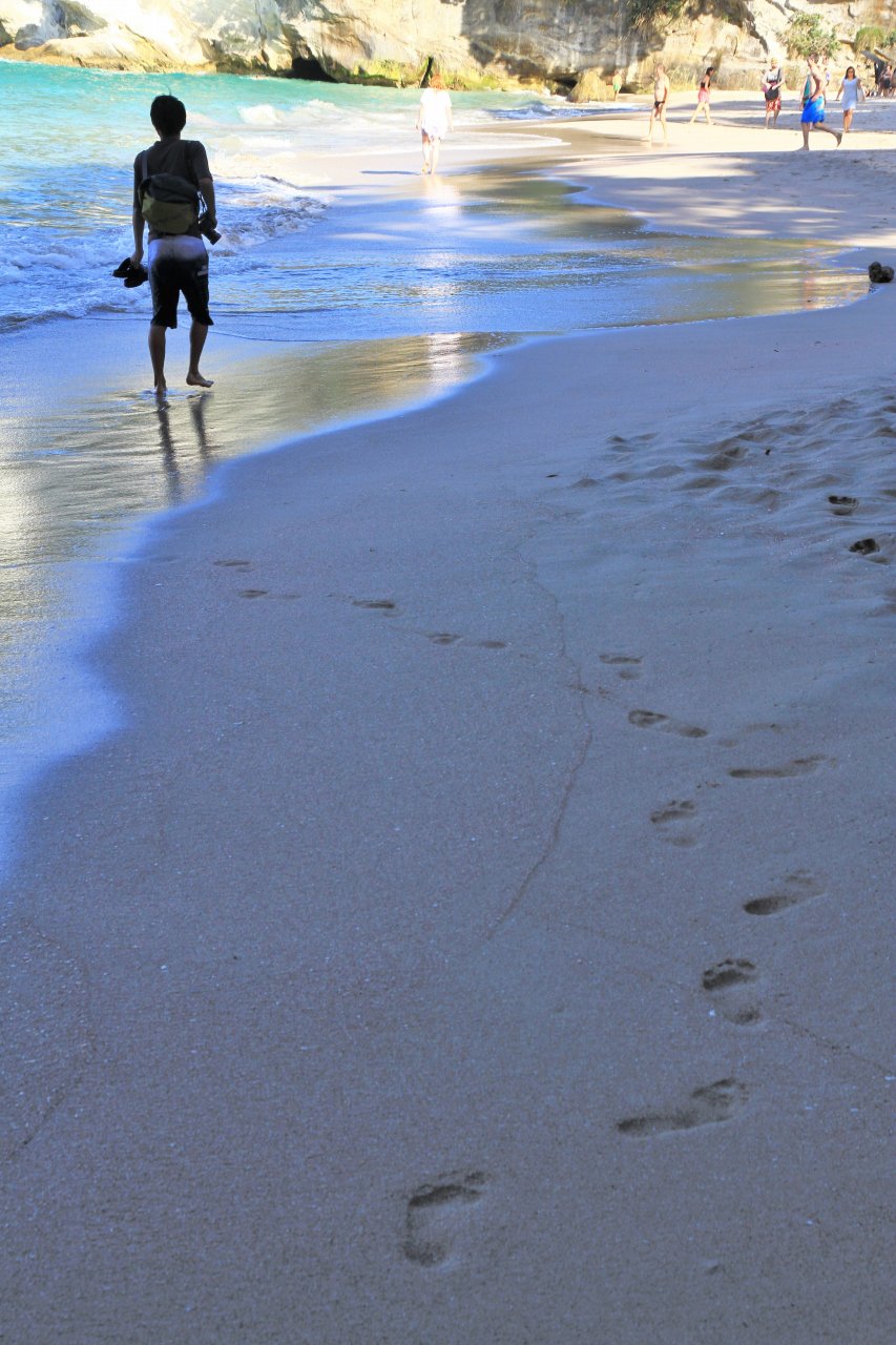 カテドラルコーヴ