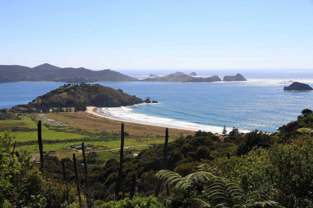 ニュージーランド