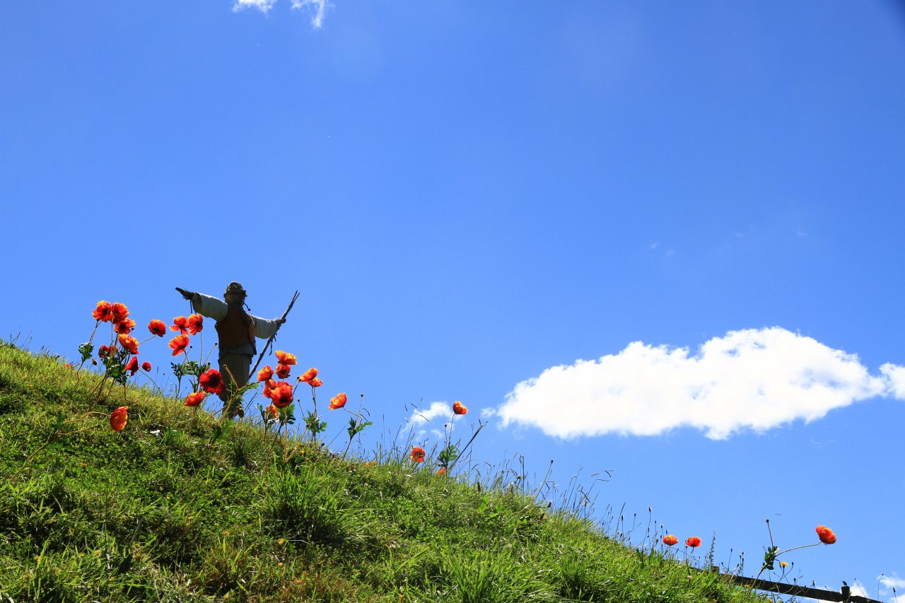 ニュージーランド・ホビット村のカカシ