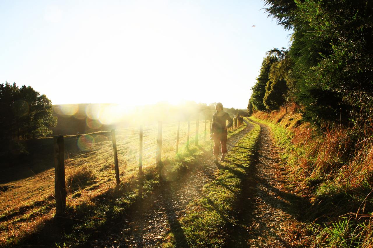 ニュージーランド