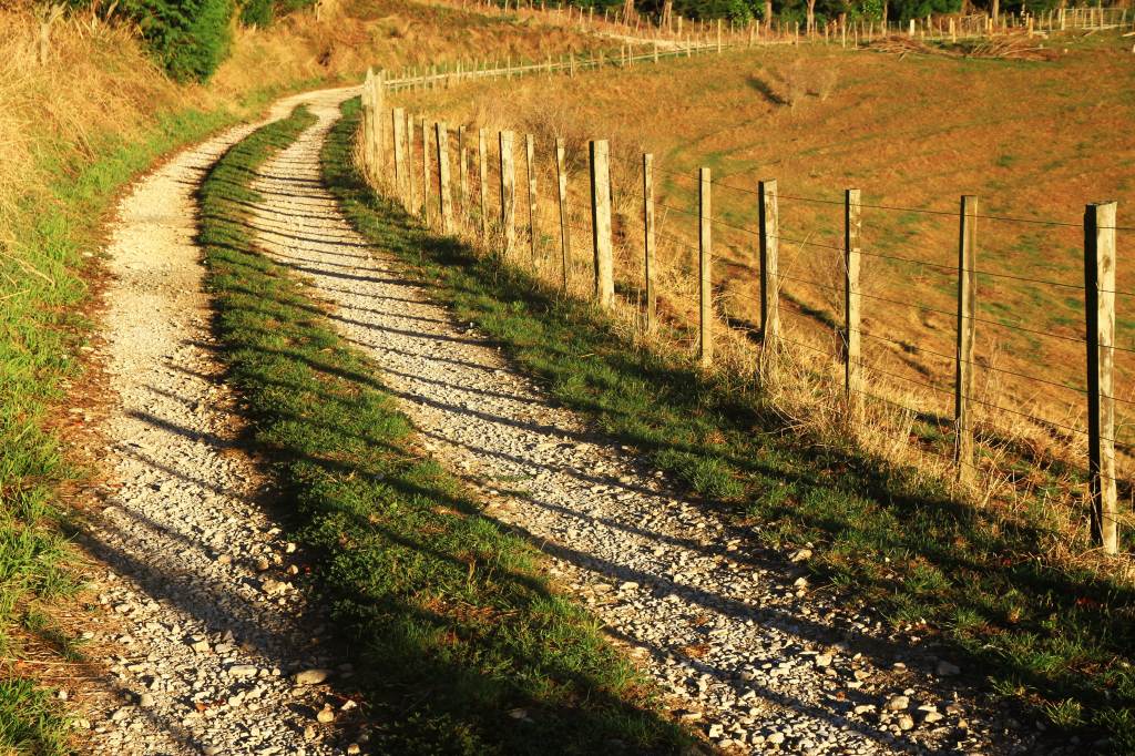 ニュージーランド