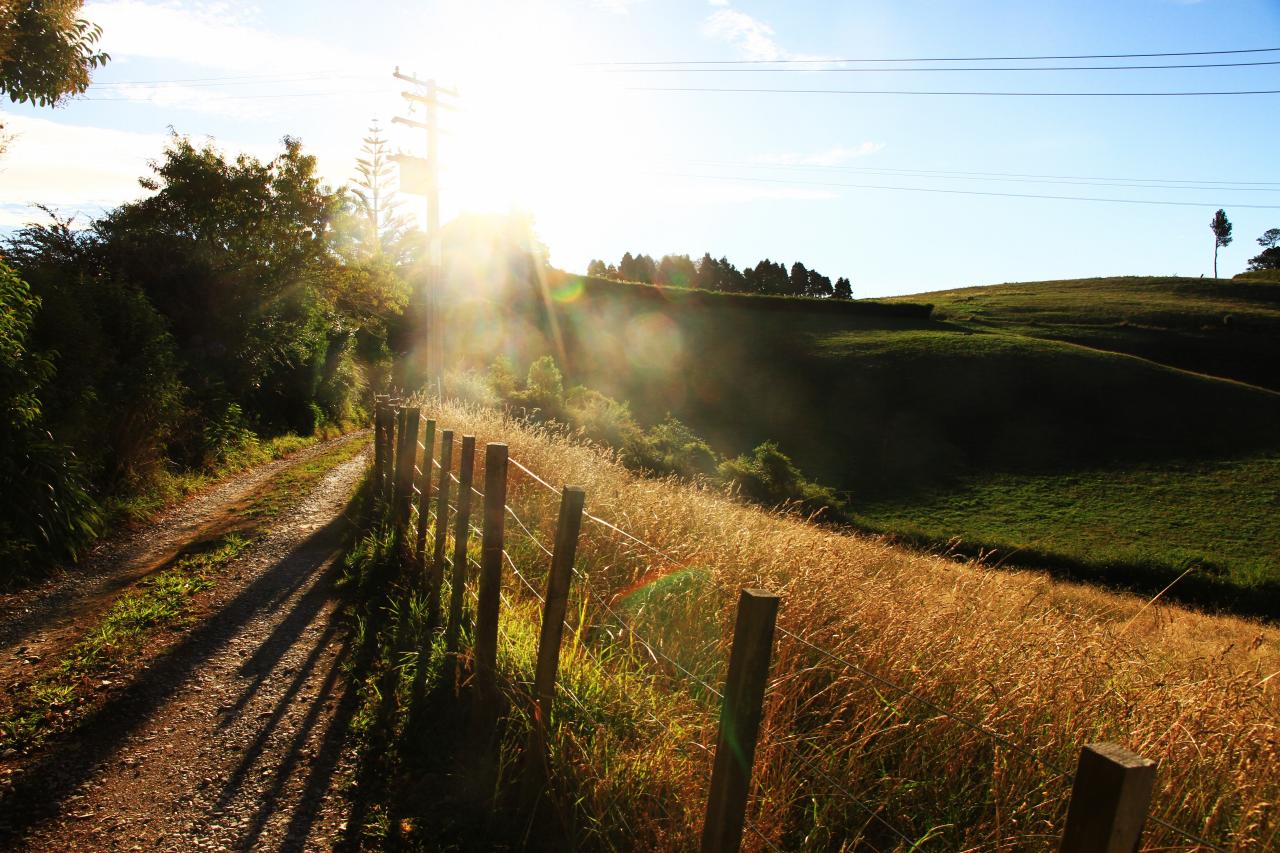 ニュージーランド・キャンプ場の朝焼け