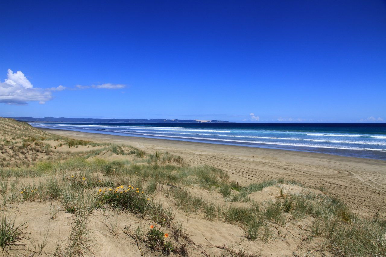 ニュージーランド