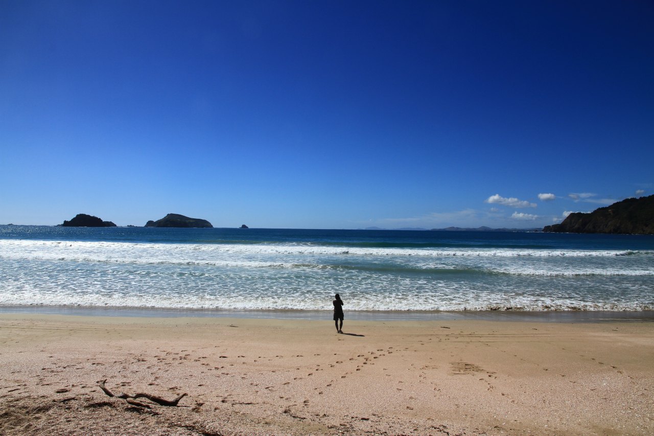 ニュージーランドのビーチ