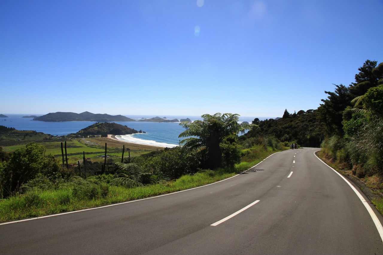 ニュージーランドでドライブ中