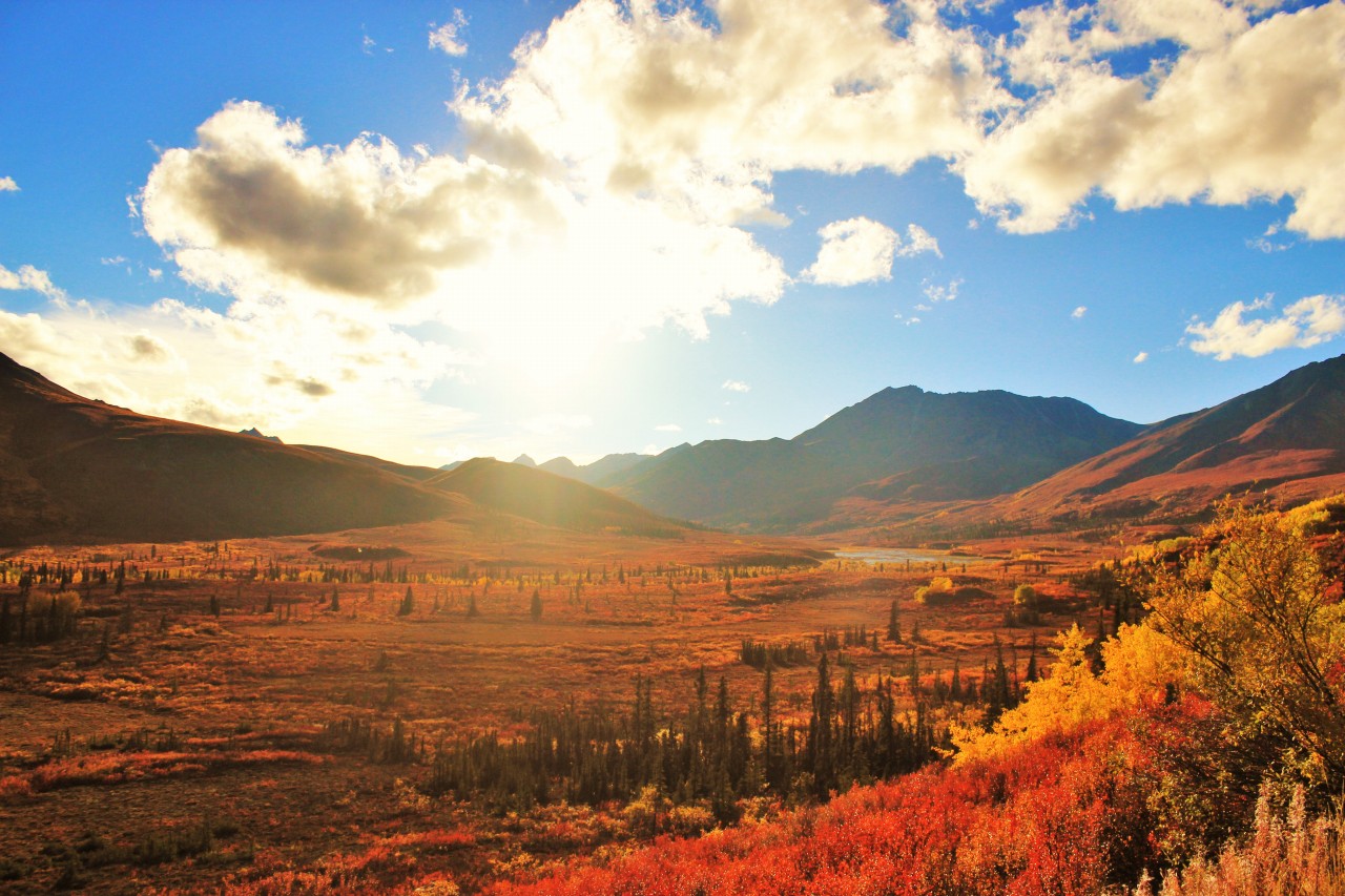 トゥームストーン準州立公園の絶景写真