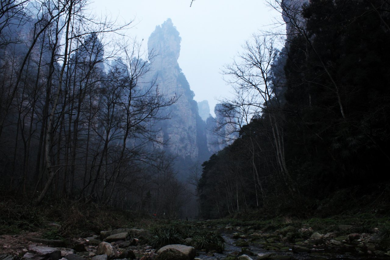 武陵源風景名勝区の張家界国家森林公園 ハイキングできる