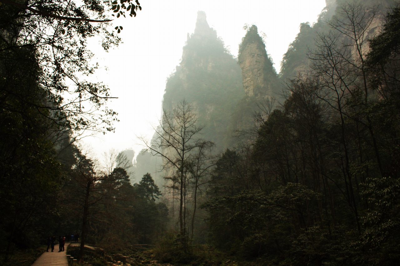 武陵源風景名勝区の張家界国家森林公園 絶景