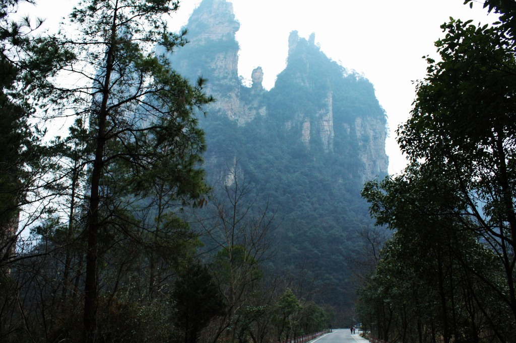 武陵源風景名勝区の張家界国家森林公園 圧倒的な景観