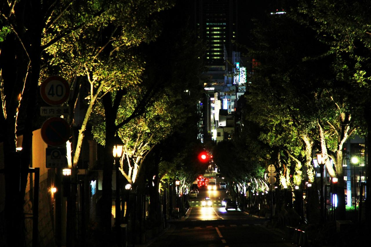 神戸・北野の夜景