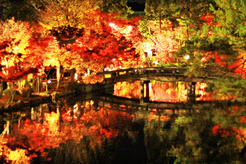 京都・永観堂の幻想的な紅葉のライトアップ