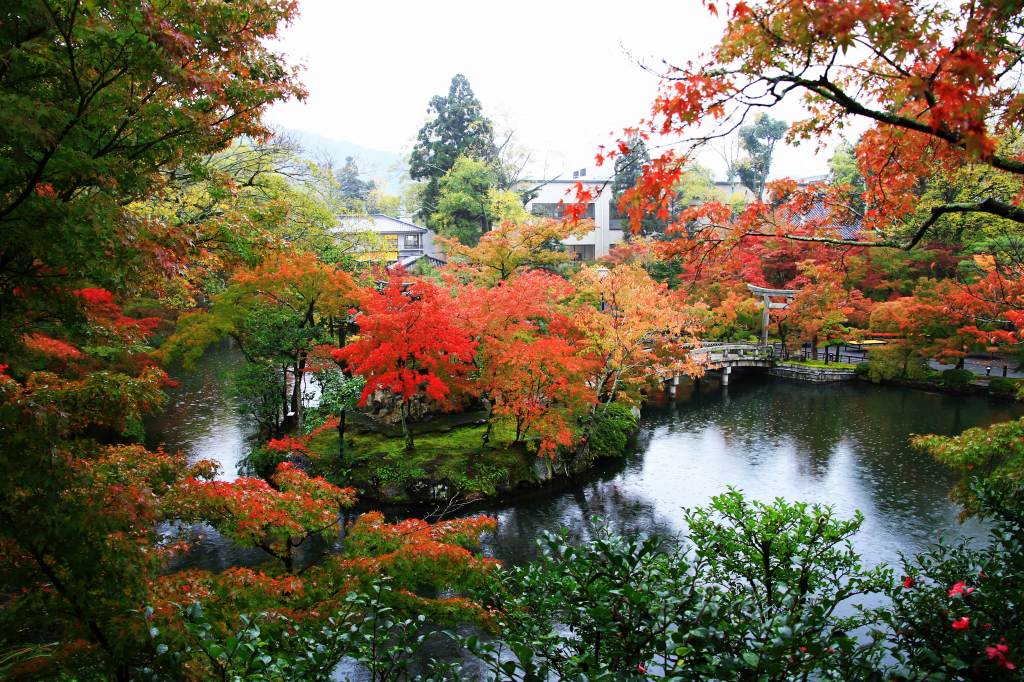 京都・永観堂の写真と観光情報