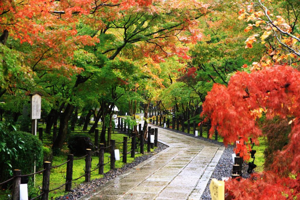 京都・永観堂の写真と観光情報
