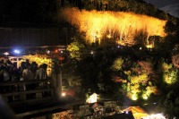 清水寺の紅葉のライトアップの絶景写真画像、京都のおすすめ観光スポット