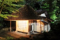 高台寺の紅葉のライトアップの絶景写真画像、京都のおすすめ観光スポット