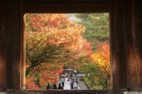 南禅寺の紅葉の絶景写真画像、京都のおすすめ観光スポット