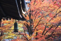 南禅寺の紅葉の絶景写真画像、京都のおすすめ観光スポット