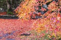南禅寺の紅葉の絶景写真画像、京都のおすすめ観光スポット