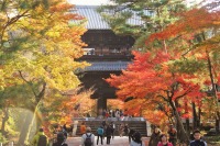 南禅寺の紅葉の絶景写真画像、京都のおすすめ観光スポット