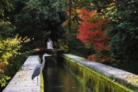 南禅寺の紅葉の絶景写真画像、京都のおすすめ観光スポット