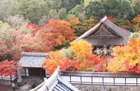 南禅寺の紅葉の絶景写真画像、京都のおすすめ観光スポット