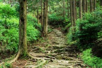 熊野古道の絶景写真画像、三重県のおすすめ観光スポット