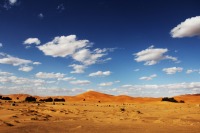 Y[K(MERZOUGA)̍̐iAbRAs