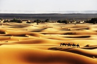 Y[K̃VFru(L'Erg Chebbi)̍̐iAbRAs