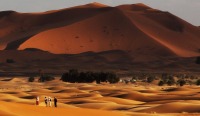 Y[K̃VFru(L'Erg Chebbi)̍̐iAbRAs