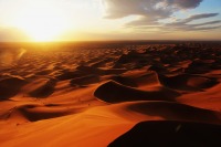 Y[K̃VFru(L'Erg Chebbi)̍̐iAbRAs