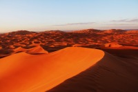 Y[K̃VFru(L'Erg Chebbi)̍̐iAbRAs