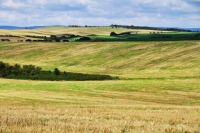 モラヴィアの大草原の絶景写真画像、東欧の観光情報