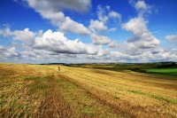 モラヴィアの大草原の絶景写真画像、東欧の観光情報
