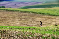 モラヴィアの大草原の絶景写真画像、東欧の観光情報