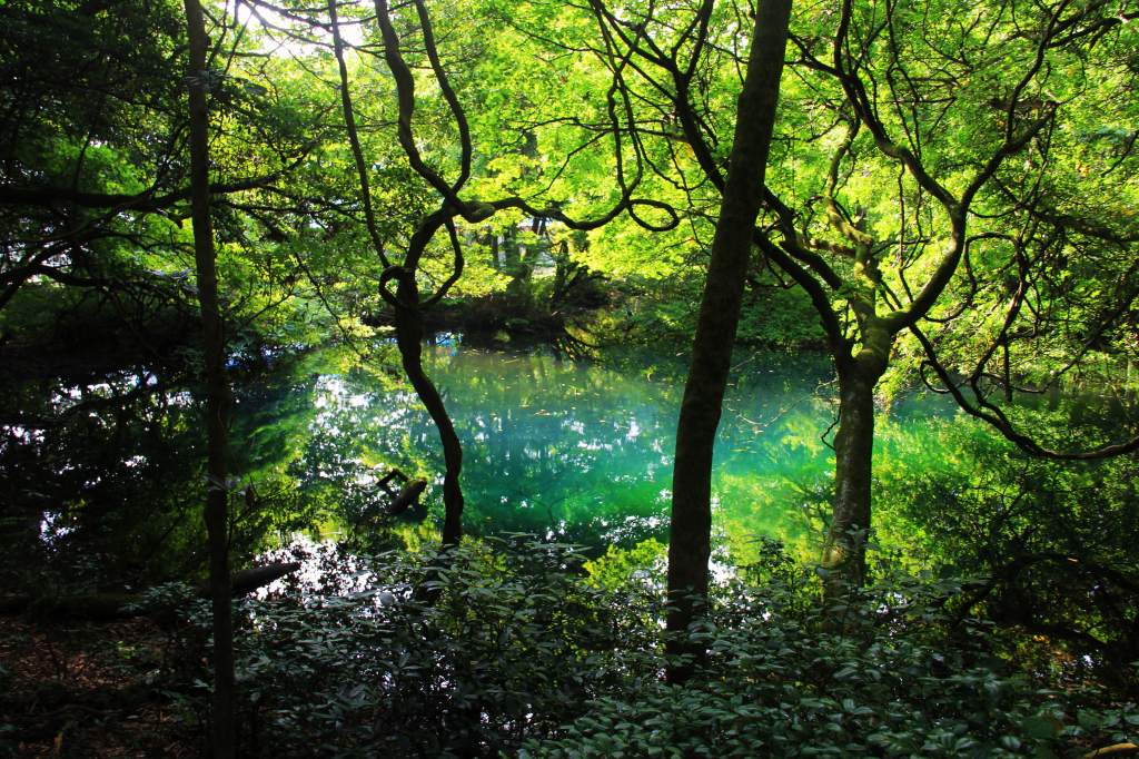 山形県・美しすぎる神秘の沼「丸池様」