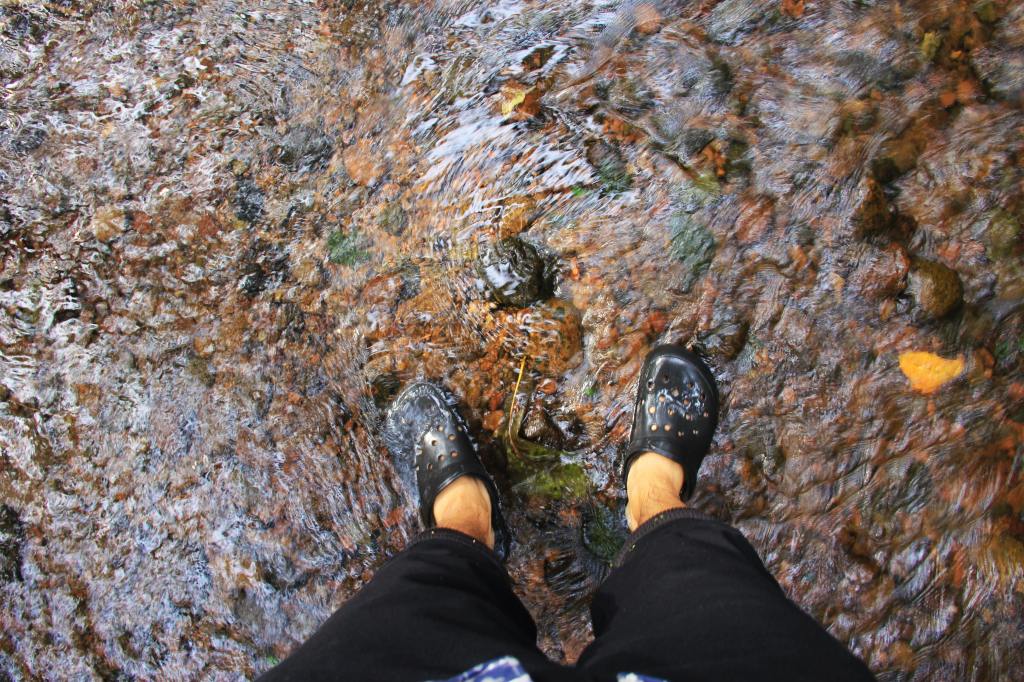 山形県・遊佐町 牛渡川