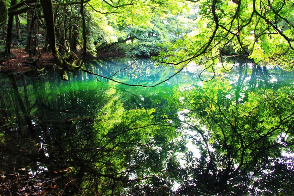 山形県・美しすぎる神秘の沼「丸池様」