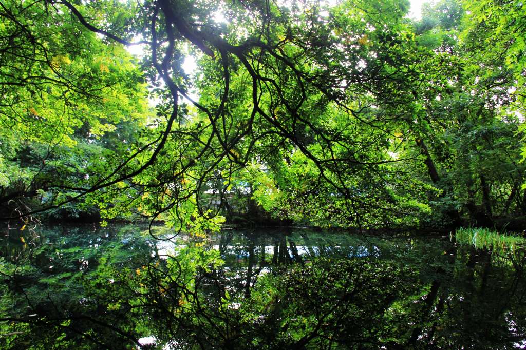 山形県・神秘の沼「丸池様」