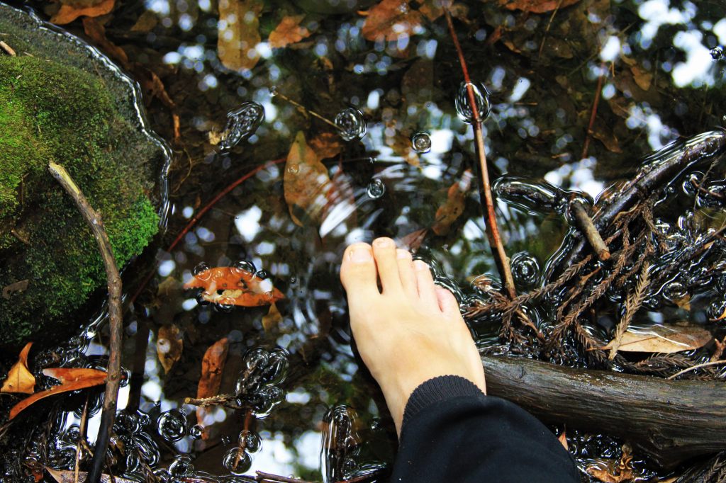 山形県・「丸池様」水が冷たくて気持ちいい