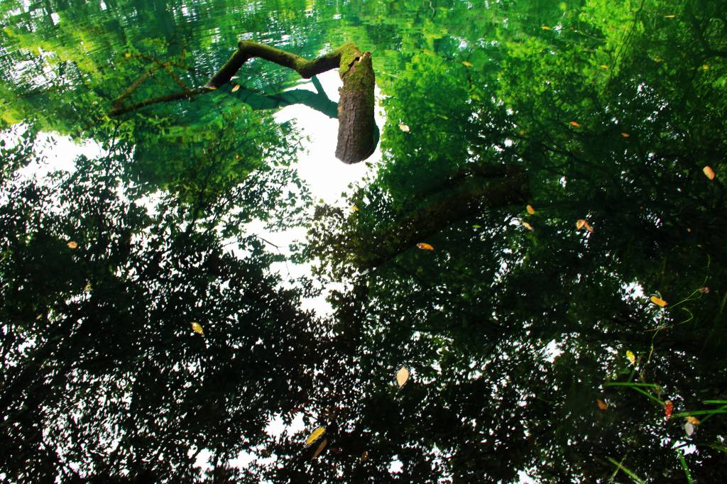 山形県・神秘の沼「丸池様」の絶景写真