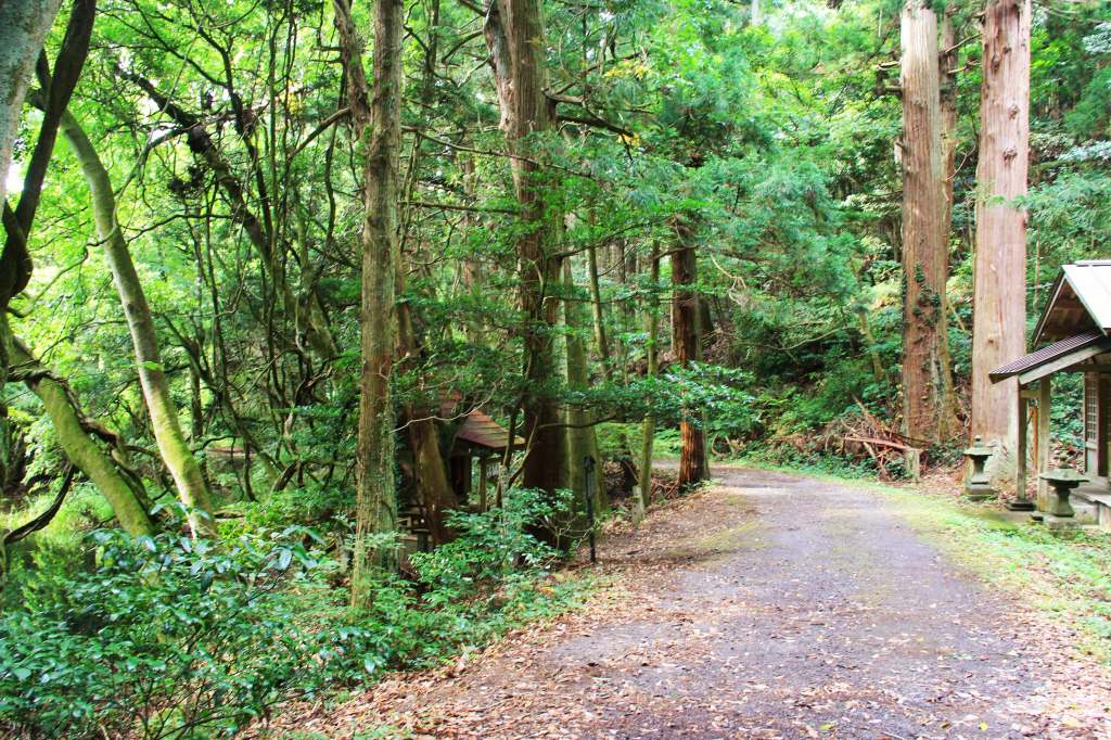 山形県・神秘の沼「丸池様」への道