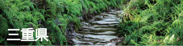 三重県(熊野古道、伊勢、尾鷲、津市)の観光スポットを絶景写真で紹介