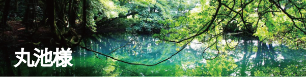 丸池様(山形県・遊佐町)の観光スポットとアクセスを絶景写真で紹介