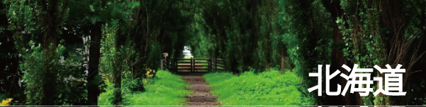 北海道(札幌・室蘭・小樽・支笏湖)の観光スポットを絶景写真で紹介